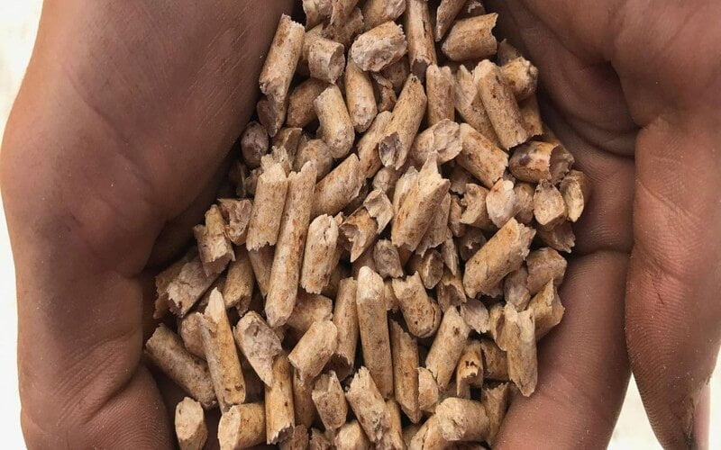 Hot Heating: What Are The Best Wood Pellets? - Woodbase®