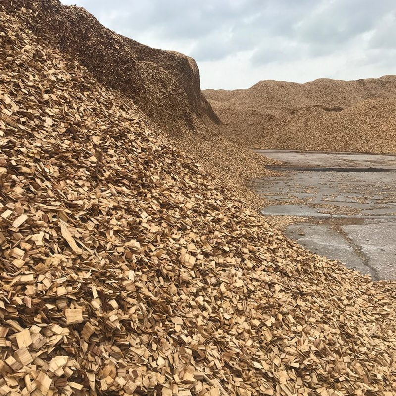 Wood Chips Manufacturer And Supplier In Vietnam - Woodbase®