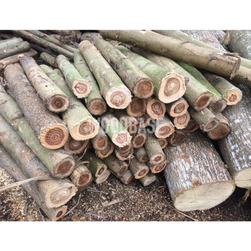 Firewood Supplier in Vietnam