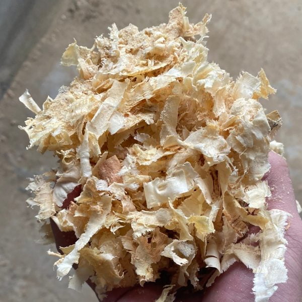 Wood Shavings Manufacturer and Supplier